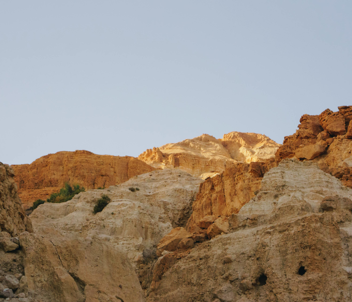 以色列遭疫情反扑:以色列遭疫情反扑是真的吗 以色列遭疫情反扑:以色列遭疫情反扑是真的吗