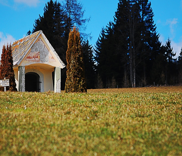 【为什么石家庄部分村民要异地隔离呢,石家庄12个村为啥异地隔离】