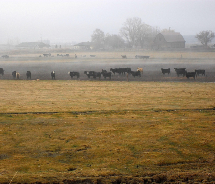 【北京大兴疫情狼垡封村,大兴狼垡属于什么风险区】