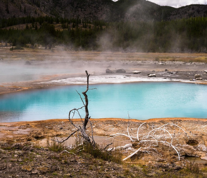 白山疫情5人/白山疫情最新消息今天 白山疫情5人/白山疫情最新消息今天