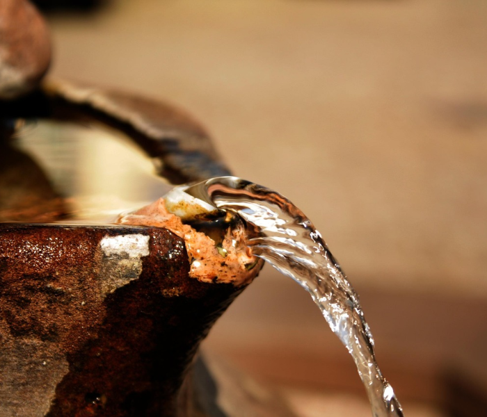 新型冠状病毒有什么症状或前兆吗/新型冠状病毒有什么症状或前兆吗吃什么药 新型冠状病毒有什么症状或前兆吗/新型冠状病毒有什么症状或前兆吗吃什么药