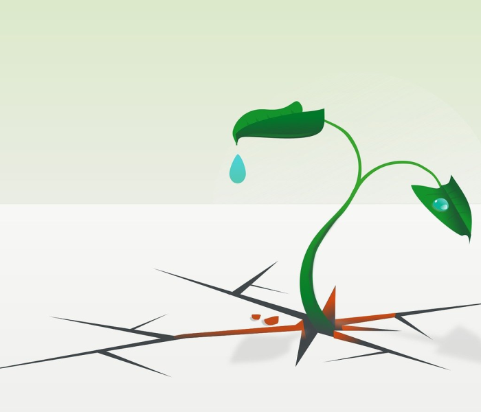 一类和二类传染病有什么区别/二类传染病有哪些?发生一类传染病时如何处理