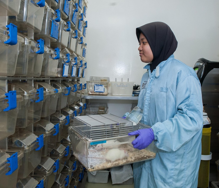 秒懂教程“微信链接牛牛房卡怎么弄”详细房卡使用教程 秒懂教程“微信链接牛牛房卡怎么弄”详细房卡使用教程