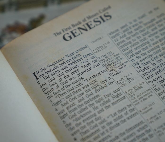 全攻略普及“微信金花从哪里买房卡-百度”房卡获取方式 全攻略普及“微信金花从哪里买房卡-百度”房卡获取方式