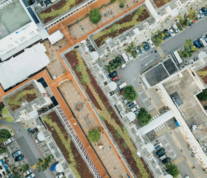 南京中高风险地区查询最新(南京 中高风险) 南京中高风险地区查询最新(南京 中高风险)