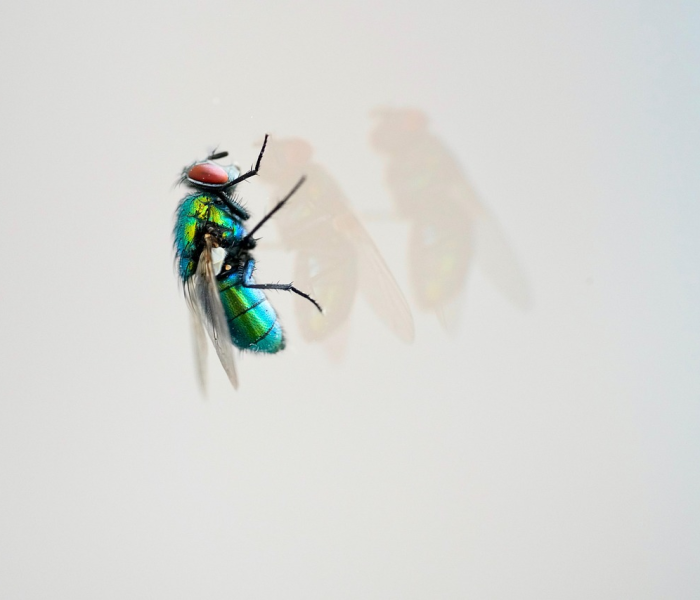 天天炫斗最新辅助工具ios（天天炫斗ios版辅助）