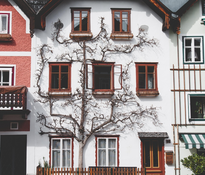 秒懂教程“微信房卡斗牛牛有挂吗”房卡链接获取 秒懂教程“微信房卡斗牛牛有挂吗”房卡链接获取