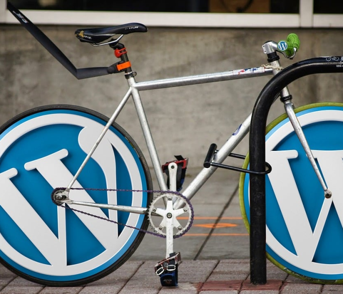 北京交通违章查询大厅（北京交通违章查询官方网站_机动车辆违章查询）