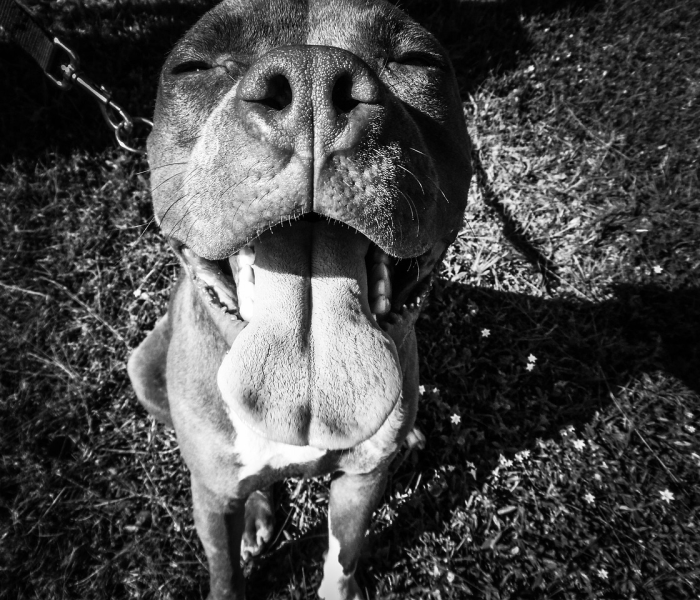 北京新冠密切接触者最新（北京新增密接者）