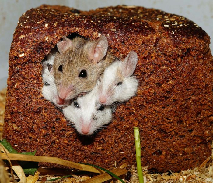 【郑州郭强,郑州市郭锝昌】 【郑州郭强,郑州市郭锝昌】