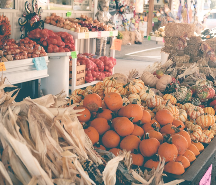 【西安解放路饺子馆/西安解放路饺子馆现在哪里营业】