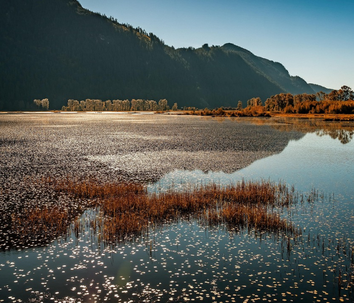 十月份江浙沪旅游哪里好/江浙沪十月份哪些地方适合旅游 十月份江浙沪旅游哪里好/江浙沪十月份哪些地方适合旅游