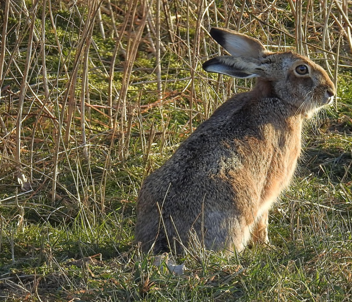 14天隔离是怎么个隔离法/十四天隔离 14天隔离是怎么个隔离法/十四天隔离
