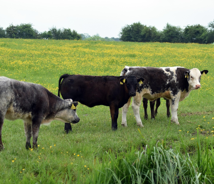 西安疫情到底有多严重/西安疫情到底严重吗 西安疫情到底有多严重/西安疫情到底严重吗