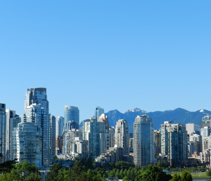 北京市望京社区:北京市望京社区服务中心