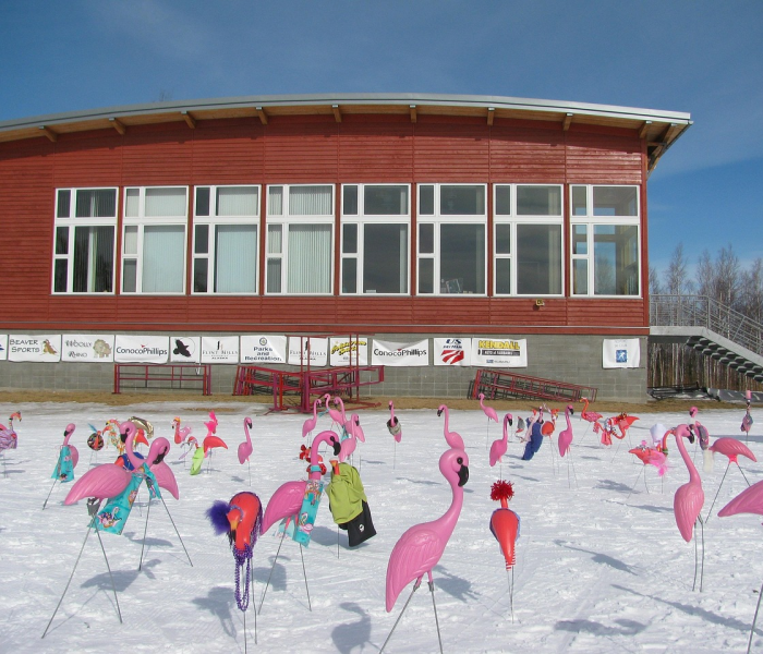 商丘回中有初中部吗:商丘回中升学率 商丘回中有初中部吗:商丘回中升学率
