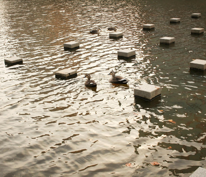 【连云港市新冠肺炎疫情/连云港市新增肺炎】 【连云港市新冠肺炎疫情/连云港市新增肺炎】