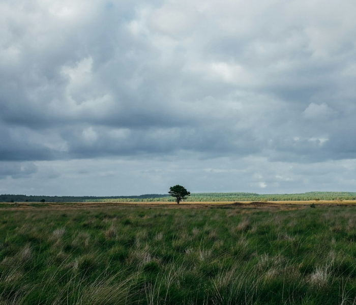 【十一草原旅游哪里好,十一去哪个草原比较好】