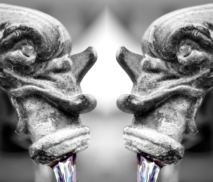 得了新冠肺炎的肺是白色的吗/新冠肺炎肺部变白