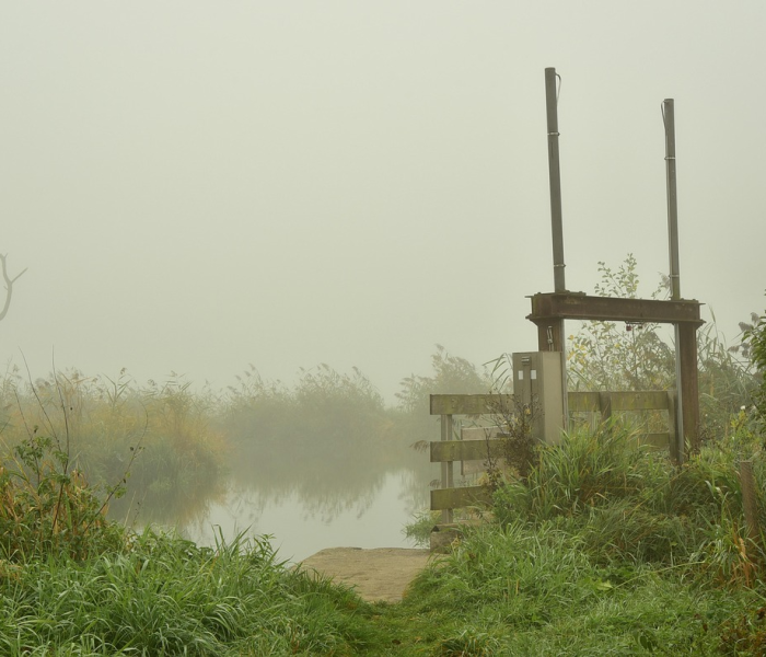 广西梧州新增一例:广西梧州一例冠状病毒肺炎 广西梧州新增一例:广西梧州一例冠状病毒肺炎