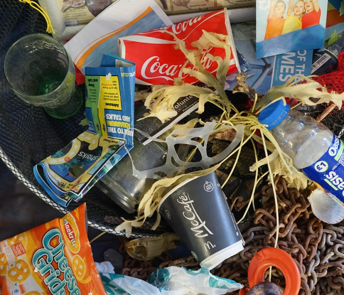 【过年可以回老家过年吗,过年可以回家乡吗】