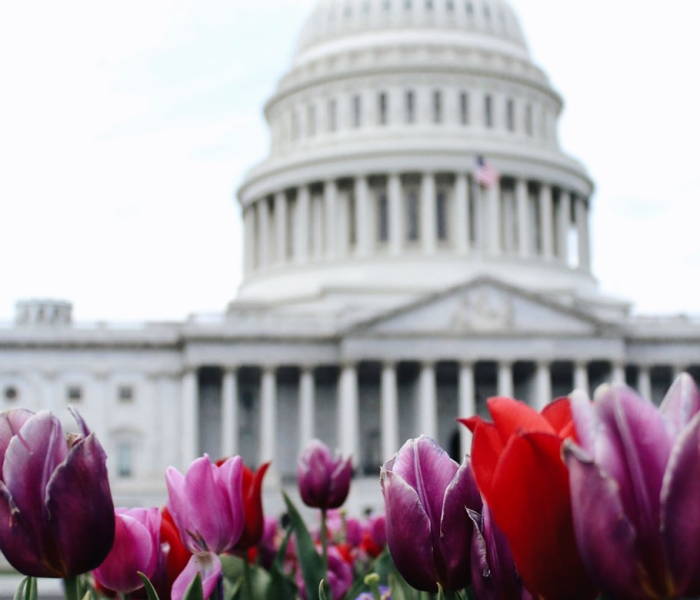 吉林农业科技大学在哪个城市（吉林农业科技大学占地面积）