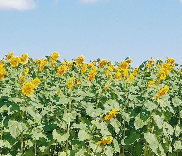 宜兴今日最新新闻花/今天宜兴新闻