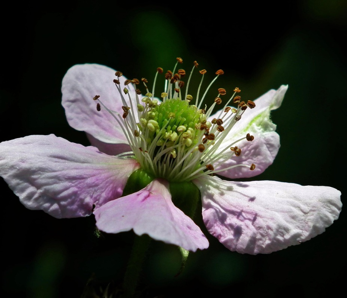 宜兴今日最新新闻花/今天宜兴新闻