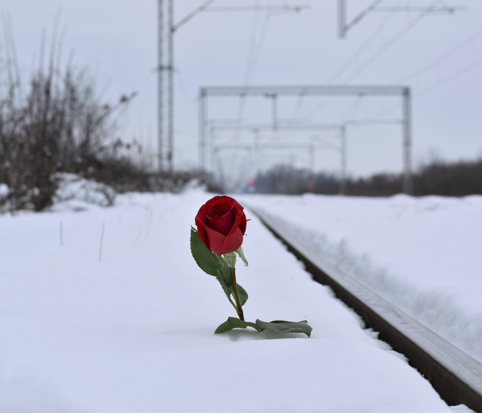 天津近一周疫情/天津近期疫情