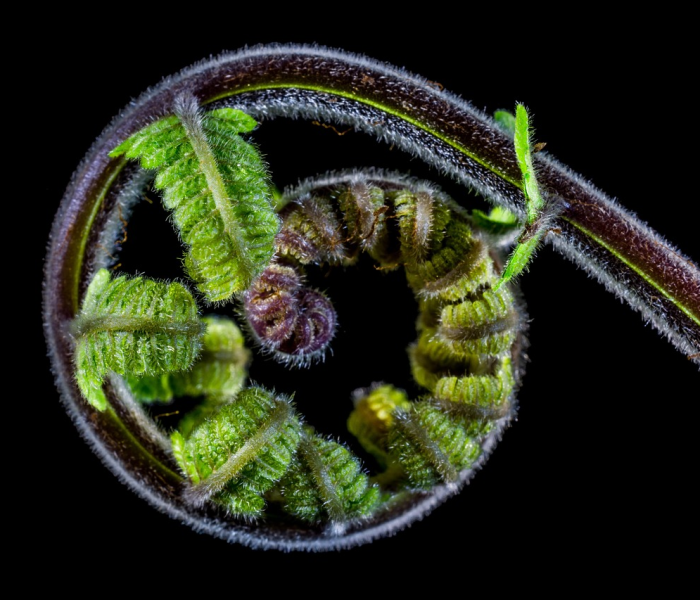 西安什么时侯解封:西安几号解封