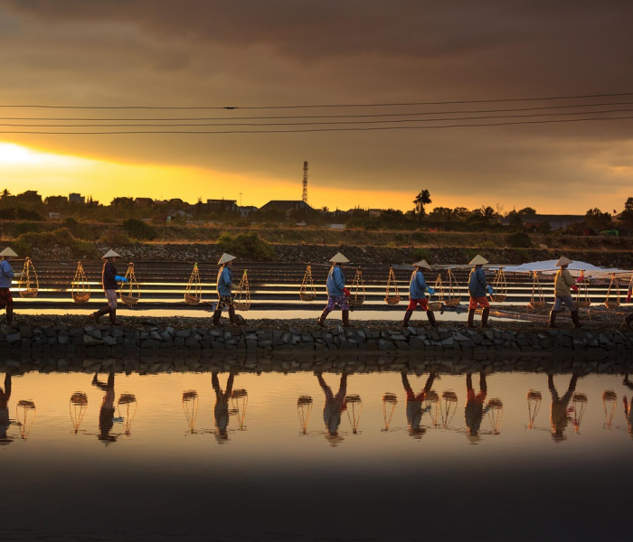 【上海h7n9,上海电力大学】