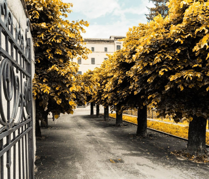 房卡全攻略“如何创建炸 金花房间链接”详细房卡怎么购买教程 房卡全攻略“如何创建炸 金花房间链接”详细房卡怎么购买教程