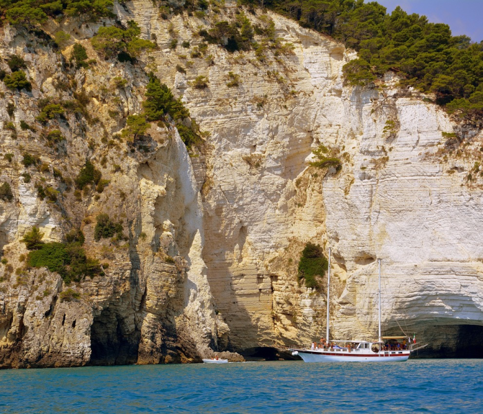 ddx是什么意思呢(ddx指标详解图解法) ddx是什么意思呢(ddx指标详解图解法)