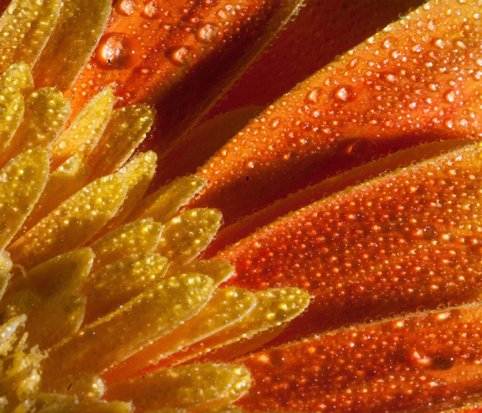 河南郑州疫情(河南郑州疫情最新动态) 河南郑州疫情(河南郑州疫情最新动态)