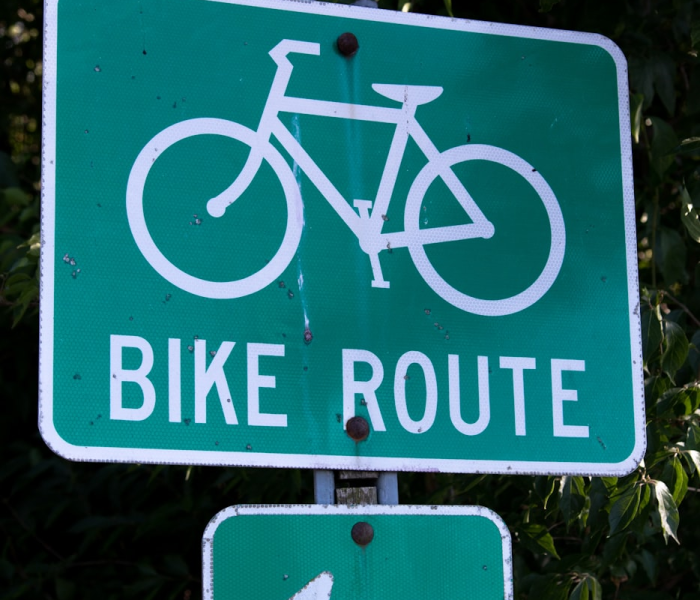 网上车摇号申请（网上机动车摇号申请）