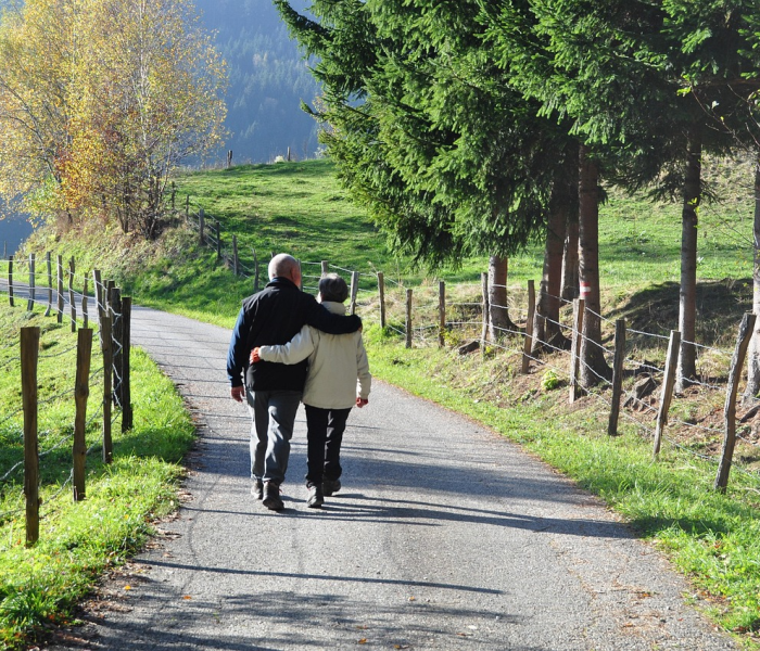 2024年除夕高速免费吗最新消息/2024年除夕夜是几月几号 2024年除夕高速免费吗最新消息/2024年除夕夜是几月几号