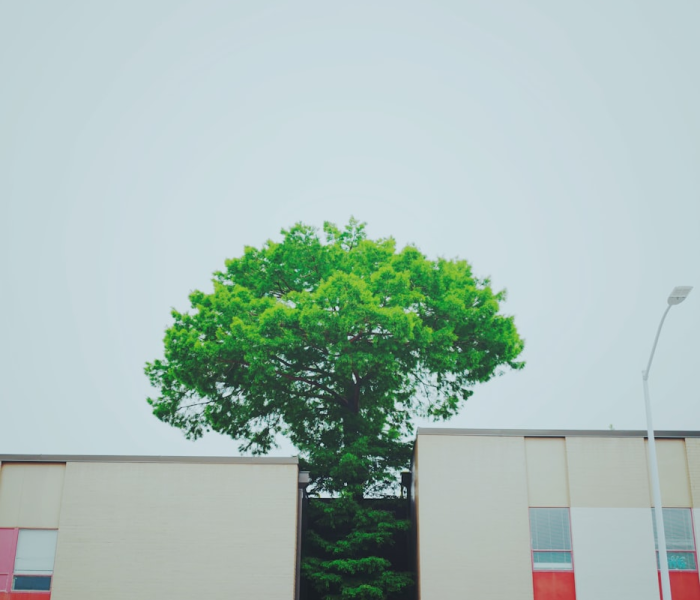 【北京市卫生健康局/北京市卫生健康局电话】 【北京市卫生健康局/北京市卫生健康局电话】