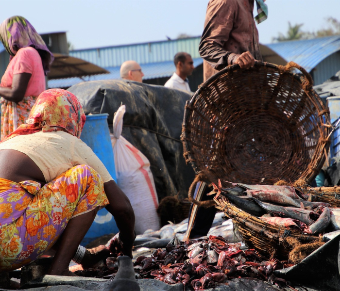 【疫情高峰期是哪几个地方,疫情高峰地段】 【疫情高峰期是哪几个地方,疫情高峰地段】