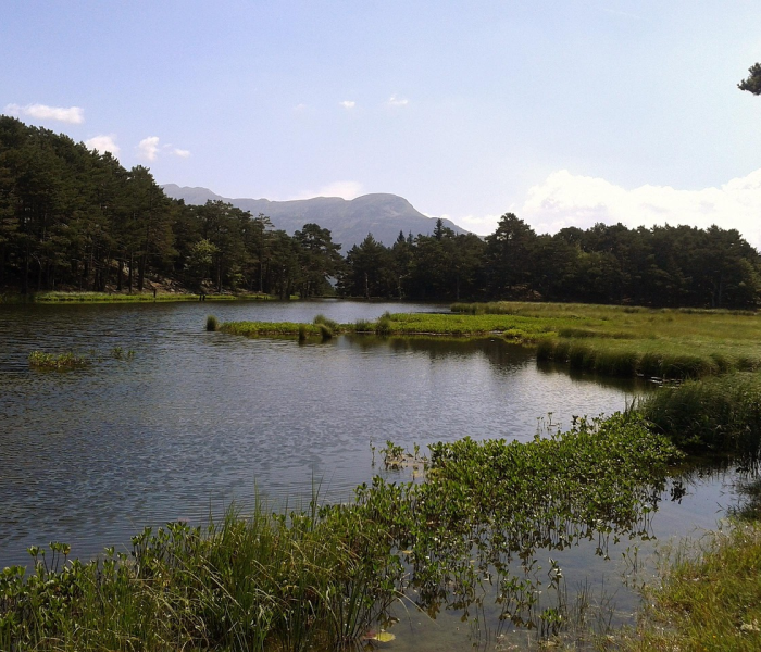 天津中考录取分数线2021蓟州区:天津市中考录取分数线2021蓟州区