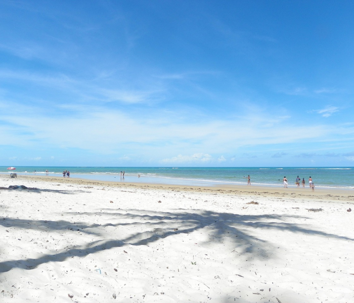 全攻略普及“微信金花牛牛房卡怎么买”轻松获取房卡全渠道 全攻略普及“微信金花牛牛房卡怎么买”轻松获取房卡全渠道