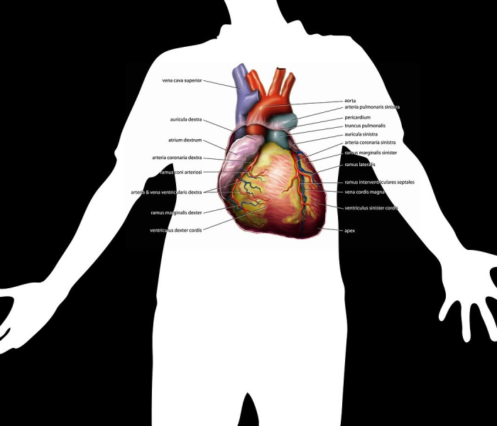 核酸阴性为何还确诊病例/核酸检测结果是阴性为什么还要隔离