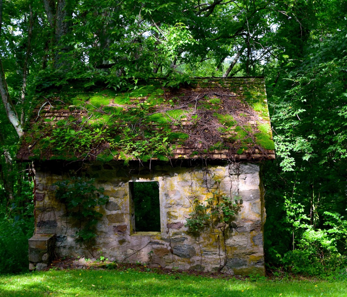 房卡全攻略“微信群链接牛牛买房卡-”详细房卡怎么购买教程 房卡全攻略“微信群链接牛牛买房卡-”详细房卡怎么购买教程