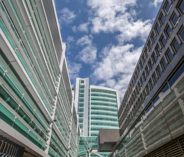 秒懂百科“炸 金花房卡在哪里买的”获取房卡教程-哔哩哔哩