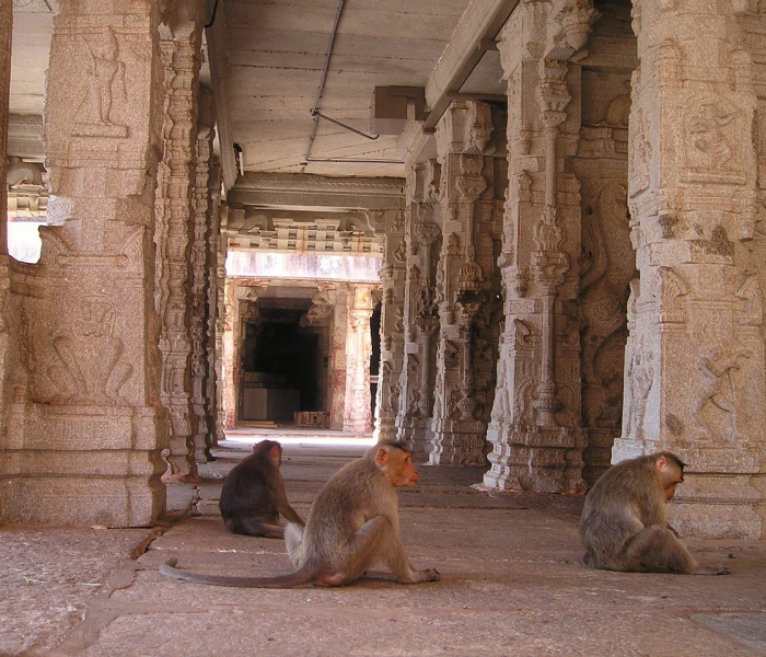 dnf红眼96级加点:地下城红眼95加点