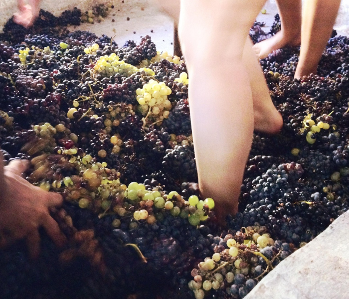 梁山冠状病毒最新情况（梁山有没有新型冠状病毒感染）