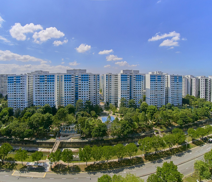 平南网红嘉嘉/平南县嘉喜房地产开发有限公司 平南网红嘉嘉/平南县嘉喜房地产开发有限公司