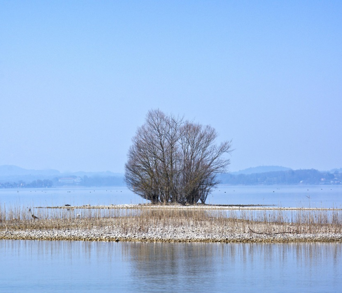 【陕西报告1例确诊病/陕西报告1例病例】 【陕西报告1例确诊病/陕西报告1例病例】