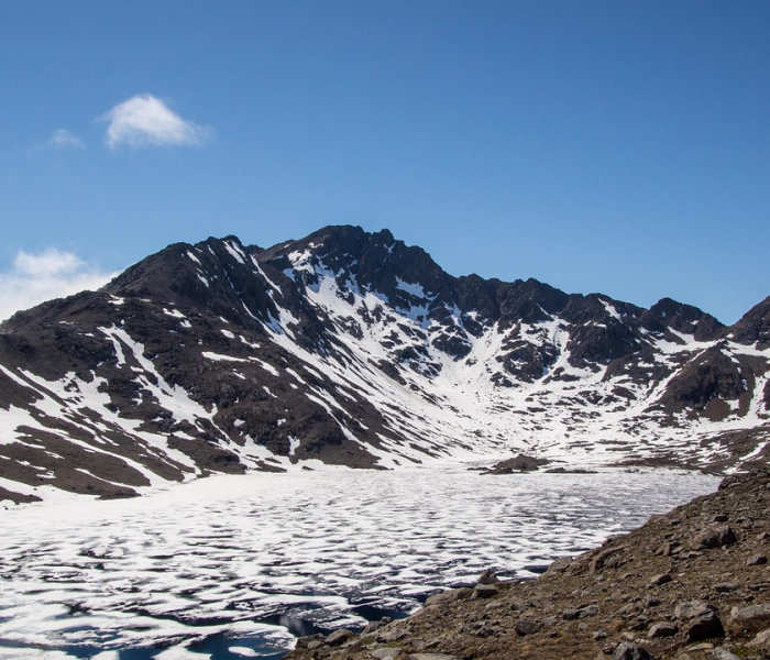 荆州疫情今天最新消息:荆州疫情最新情况