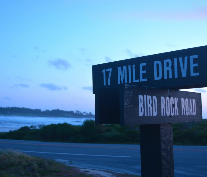 下载今日绍兴:今天绍兴网 下载今日绍兴:今天绍兴网