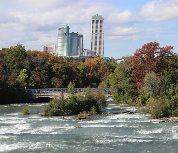 给大家讲解“牛牛房卡怎么搞”详细房卡教程 给大家讲解“牛牛房卡怎么搞”详细房卡教程